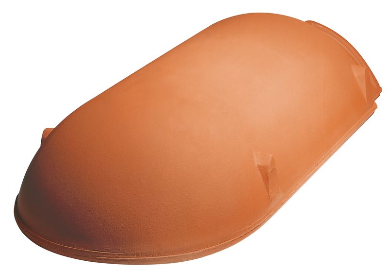 WER početni sljemenjak sa rozetom PZ